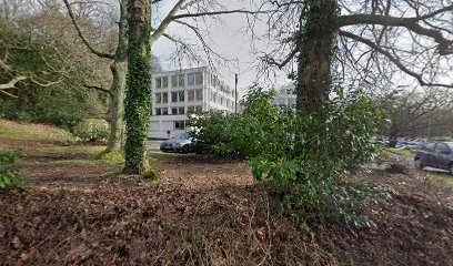 SINAPSIS, Service de Support Informatique à Quimper