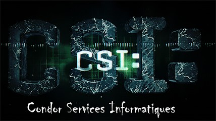 Condor Services Informatiques, Service de Support Informatique à Lichtenberg