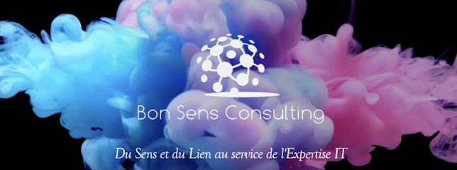 Bon Sens Consulting Support Et Services Informatiques à Paris 03