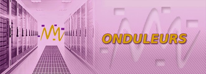 ASI SERVICES 30, Service de Réparation Informatique à Langlade