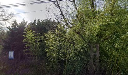 CALL4SPORT, Service de Support Informatique à La Tour-de-Salvagny