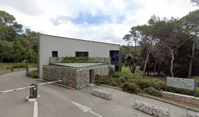 Winpharm'Azur, Service de Support Informatique à Mougins