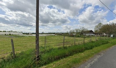 Nesploy informatique, Service de Support Informatique à Nesploy