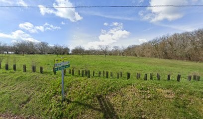 Mandora Service Informatique, Service de Support Informatique à Antigny