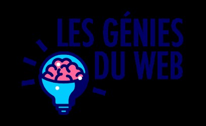 Les Génies du Web, Service de Support Informatique à Argenteuil