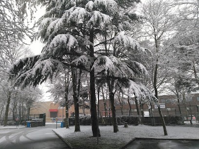 KYNDRYL, Service de Support Informatique à Collégien