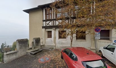 AXIOCOM - Courant faible / courant fort / Informatique et réseau, Service de Réparation Informatique à Thonon-les-Bains