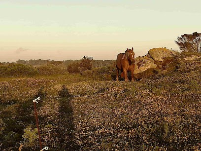 SIMICAR, Service de Support Informatique à Saint-Renan