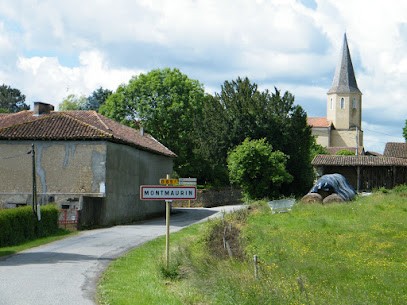Informatique Services 31, Service de Réparation Informatique à Montmaurin