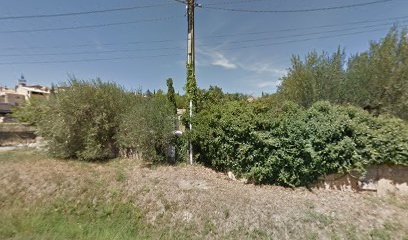 Frostrose Studio, Service de Support Informatique à Valliguières