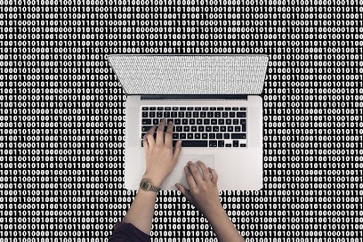 GIANNONI'S, Service de Support Informatique à Quetigny