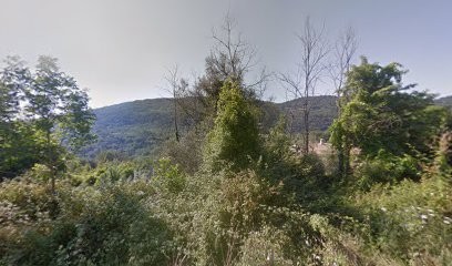 Ellipso Facto, Service de Support Informatique au Bar-sur-Loup