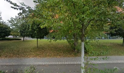 Proservia, Service de Support Informatique à Schiltigheim