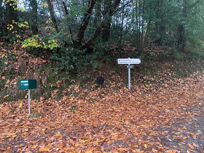 Guillaume Denieul - Ordilogique informatique, Service de Support Informatique à Calvinet