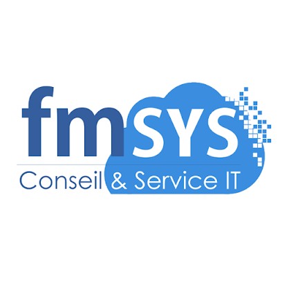 FMSYS, Service de Support Informatique à Mireval