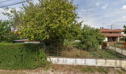 Rhône Alpes Informatique Services, Service de Support Informatique à Attignat