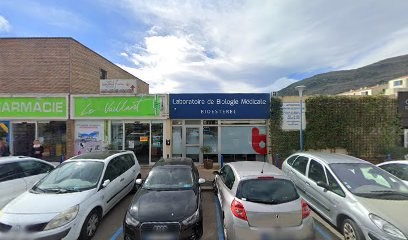 Nice Informatique, Service de Support Informatique à Carros