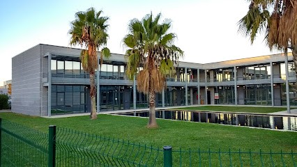 Koesio Corporate IT - Agence de Pérols, Service de Support Informatique à Pérols