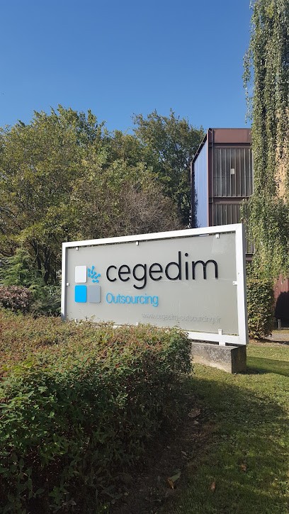 Cegedim Outsourcing, Service de Support Informatique à Vélizy-Villacoublay