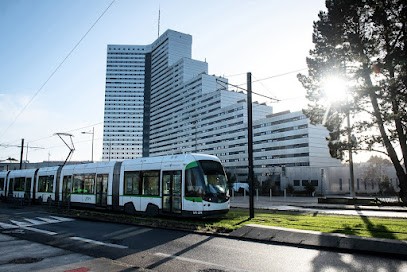 Dinno (Icysoft SAS), Service de Support Informatique à Saint-Herblain