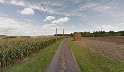 Guez Fabien, Service de Support Informatique à Luzé