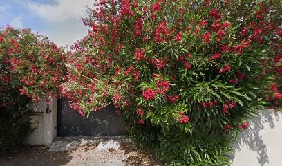 COTE MAC, Service de Support Informatique à Gigean