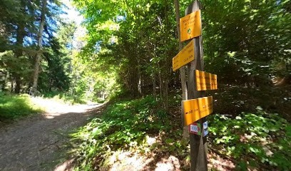 MBA Informatique, Service de Support Informatique au Sappey-en-Chartreuse