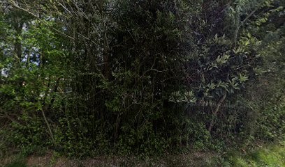 Marty Pierre, Service de Réparation Informatique à Montech