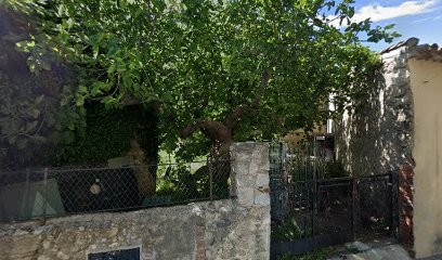 proteo, Service de Support Informatique au Plan-de-la-Tour